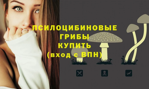 крисы Нефтегорск