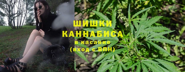 крисы Нефтегорск