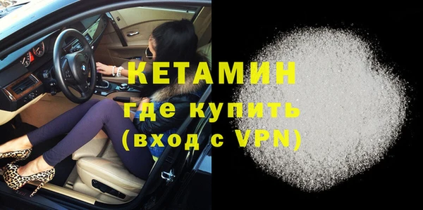 сатива Новодвинск