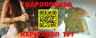 кокс Гусев