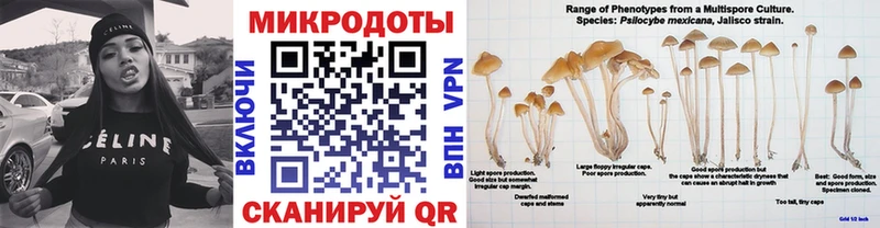 Псилоцибиновые грибы Magic Shrooms  Курчатов 