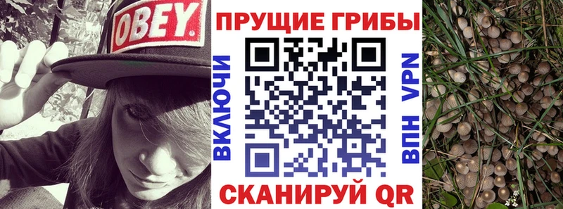 Галлюциногенные грибы ЛСД Курчатов