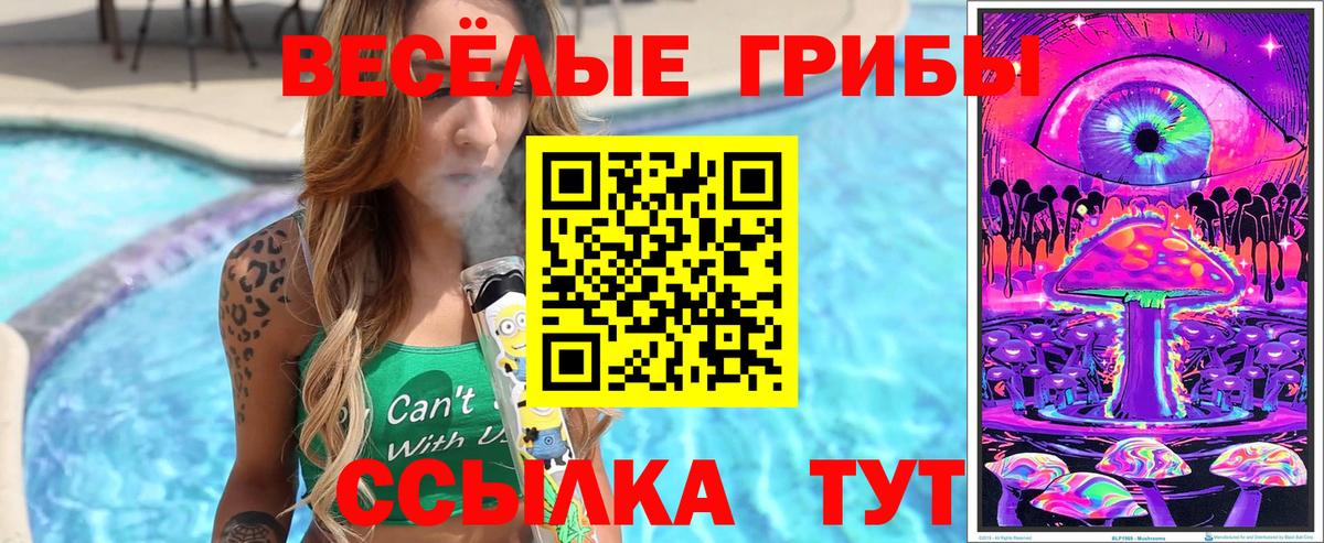 Курчатов  Галлюциногенные грибы мицелий  Вход с VPN 